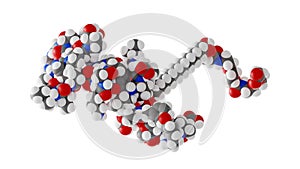 tirzepatide molecule, mounjaro molecular structure, isolated 3d model van der Waals