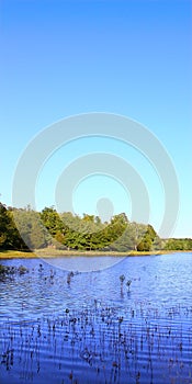 Tishomingo State Park - Mississippi