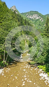 Tisitei gorge, in Vrancea county Romania