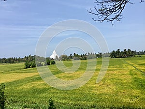 Tissamaharama Stupa seen from the edge of a field.