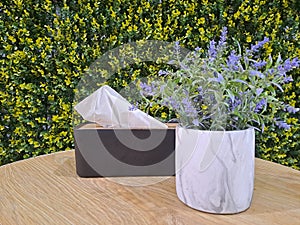 Tissue boxes and flower artificial on the table with leaves in the background