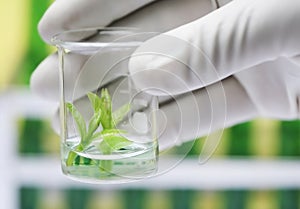 Tissue culture concept