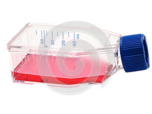 Tissue culture flask with red liquid