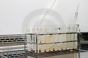 Tissue Culture Method - bio lab