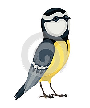 Tit bird in standing position. Titmouse in cartoon flat style beautiful character. Vector illustration isolated on white