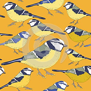 Tit birds. Seamless pattern. Vector illustration on yellow background