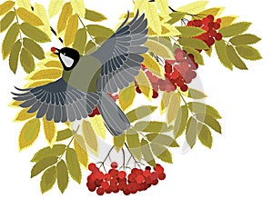 Tit fly among the branches