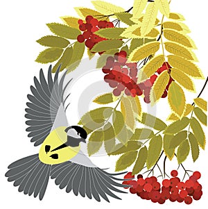 Tit fly among the branches