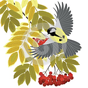 Tit fly among the branches