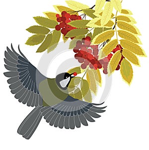 Tit fly among the branches