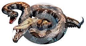 Titanoboa