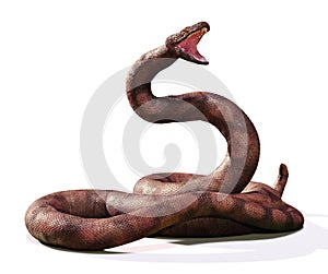 Titanoboa, the largest snake that ever lived, isolated on white background