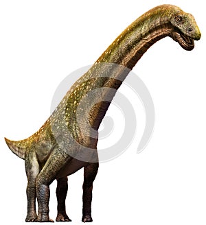 Titanosaurus from the Cretaceous era 3D illustration photo