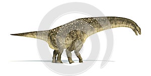 Titanosaurus dinosaur, photorealistic and scientifically correct