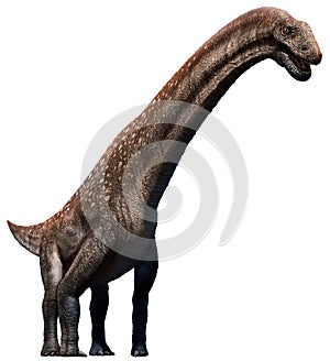 Titanosaurus