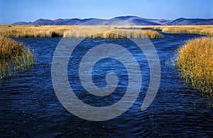 Titicaca Lake photo