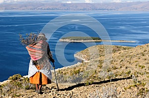 Titicaca lake, Bolivia, Isla del Sol landscape