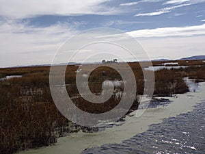 Titicaca Lake, floating islands of Uros, Peru