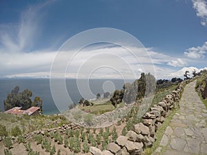 Pathway on Lake Titicaca coast