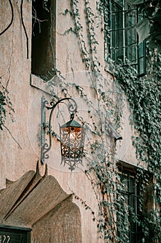 Title: Ivy on the wall of the house. Autumn leaves ivy on the vintage windows. Red, yellow and green leaves