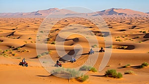 Title: A serene forest path with tall trees on either side leading into a bright light in the