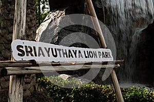 Title sriayuthaya lion park, zoo in thailand. ayutthaya Thailand