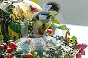 Titmouse on an autumn decoration