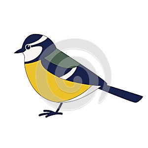 Titmouse  bird, vector illustration, flat style, side