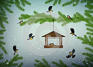Titmouse birds on the pine tree branch with feeder in the winter season, family of birds in snowy cold whether,