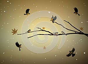 Titmouse birds on the tree branch in autumn season, family of birds in snowy cold whether,