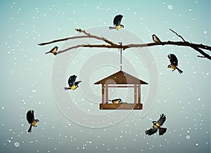 Titmouse birds on the tree branch with feeder in the winter season, family of birds in snowy cold whether,