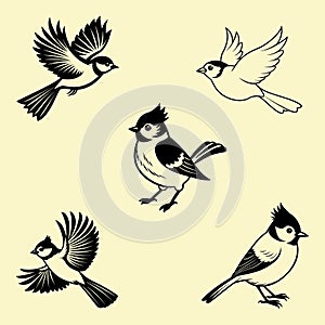 titmouse icon vector illustration