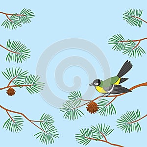 Titmouse on pine branch