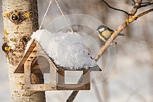 Titmouse sitting near the bird feeders / little bird chickadee