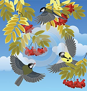 Tits fly among the branches