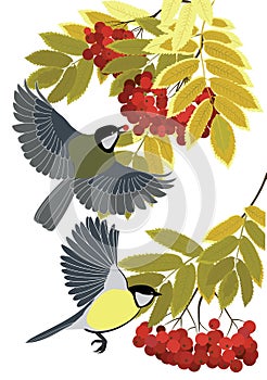 Tits fly among the branches