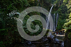 Tiu Kelep Waterfall near Rinjani, Senaru Lombok indonesia. Southeast Asia. Motion blur and soft focus due to Long Exposure Shot.