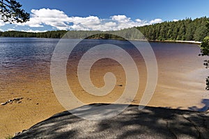 In the Tiveden National Park