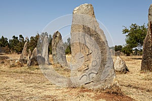 Tiya Ethiopian World Eritage Site