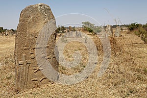 Tiya Ethiopian World Eritage Site photo