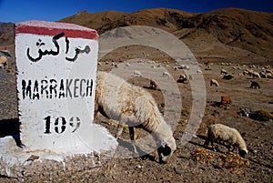 Tizi nTichka mountain pass. Morocco