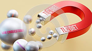 Tlc diet which brings Low cholesterol. A magnet metaphor in which tlc diet attracts multiple parts of low cholesterol. C