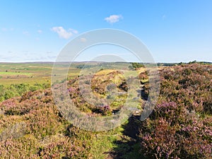 To the end of Birchen Edge and across Derbyshire