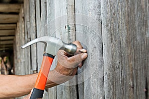 To hammer a nail with a hammer. Older worker carpenter