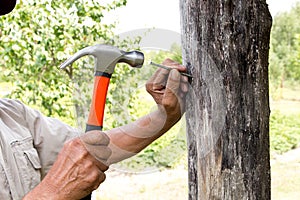 To hammer a nail with a hammer. Older worker carpenter