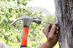 To hammer a nail with a hammer. Older worker carpenter