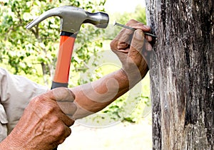 To hammer a nail with a hammer. Older worker carpenter