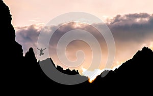 To jump on the mountain peak, prance and jump