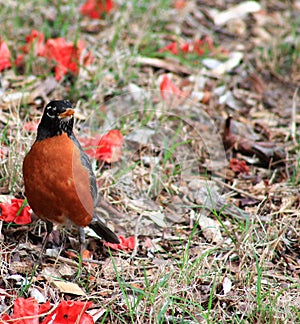 To the left, to the left