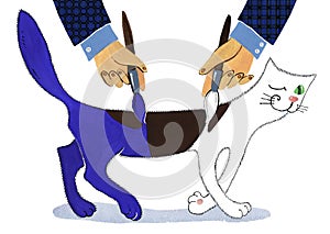 Make up the cat, two men recolour the cat